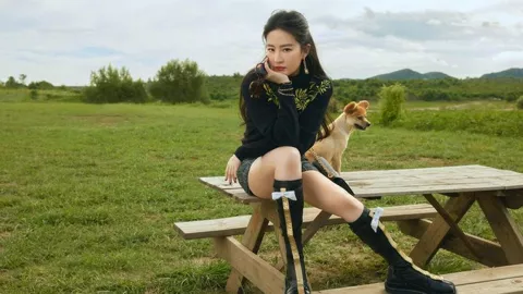 顺丰劳力士丢失事件